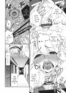 (C82) [TUKIBUTO (Hyouju Issei)] HI-Happy Pedigree (Touhou Project) (korean) - page 20
