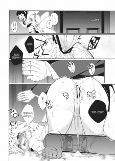 (C82) [TUKIBUTO (Hyouju Issei)] HI-Happy Pedigree (Touhou Project) (korean) - page 24