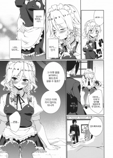 (C82) [TUKIBUTO (Hyouju Issei)] HI-Happy Pedigree (Touhou Project) (korean) - page 7