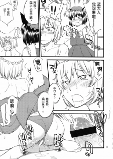 (C81) [Hinemosuan (Hinemosu Notari)] Kokoro no Sukima Oume Shimasu (Touhou Project) [Chinese] [wwy个人汉化] - page 11