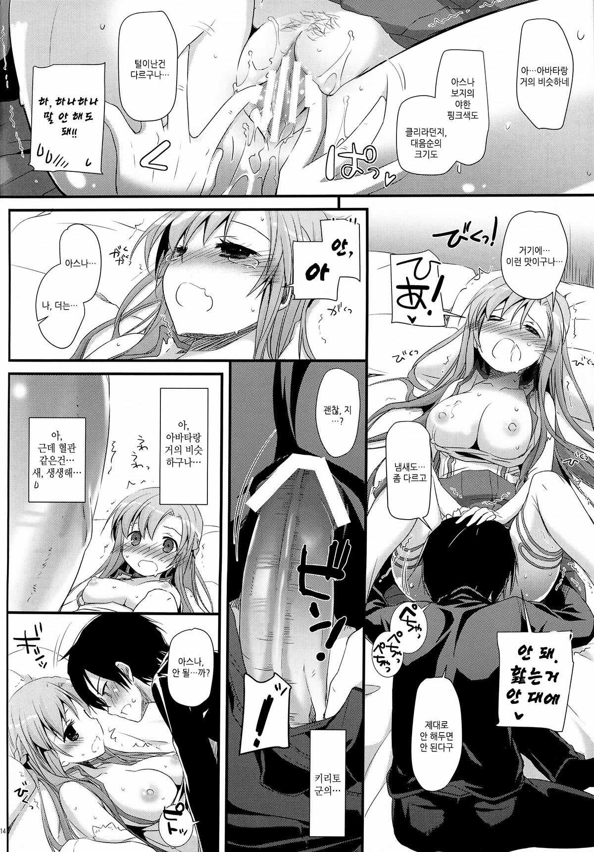 (C82) [Digital Lover (Nakajima Yuka)] D.L.action 70 (Sword Art Online) (korean) page 14 full
